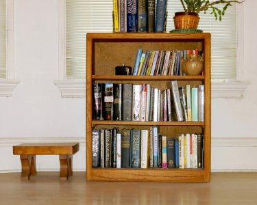 bookshelves4.27.26.jpg