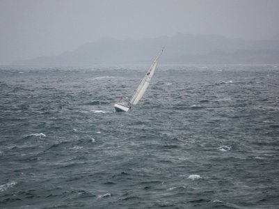 DSC09918-WEB$.jpg