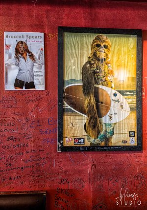Surfer Chewie Dude.jpg