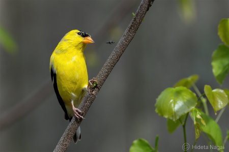 R516_7580.jpg