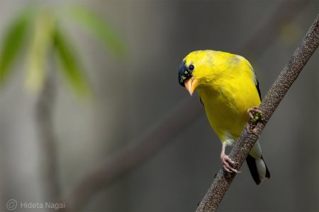 R516_7586.jpg