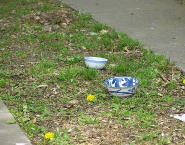bowlsdrvwy5.1.26.jpg