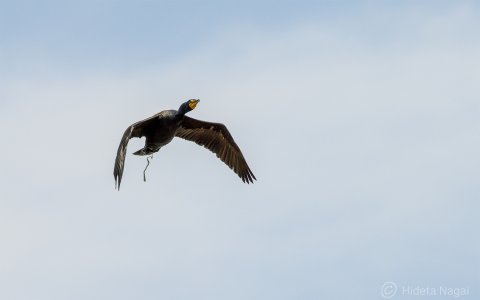 R516_7245.jpg