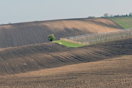 _W4A1563.jpg
