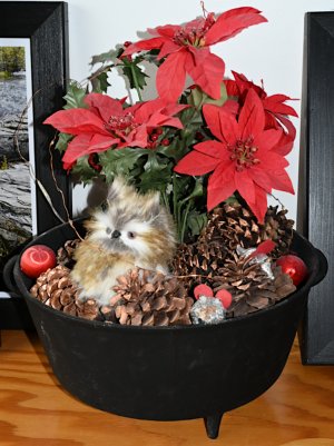DSC_0210.jpg