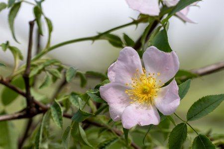 R5170861.jpg