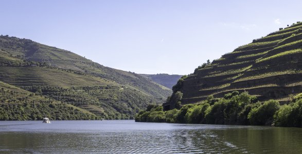 Duoro-9726.jpg