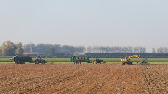 201810165DIV018219.jpg