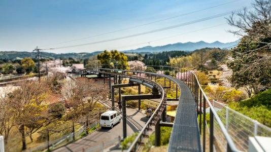 kirishima-April 07, 2008-0213.jpg