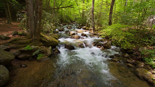 0221 Jones Gap SP, SC.jpg