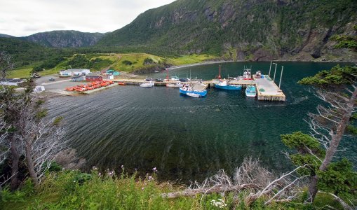 2762 Little Port, NL.jpg