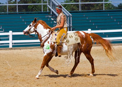 0838 Kentucky Horse Park, KY.jpg