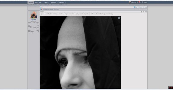 screen1.jpg