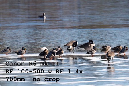 R62_9281-Edit-1-2.jpg