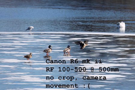 R62_9362-Edit-1-2.jpg