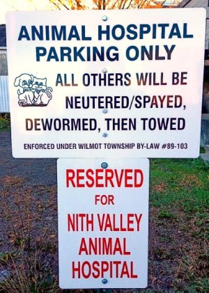 animal-hospital- parking.JPG