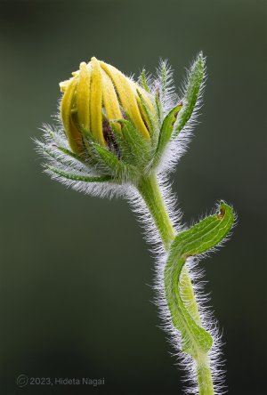 R508_1140-1150-composite.jpg