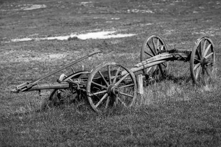 0S4A8763-bw.jpg