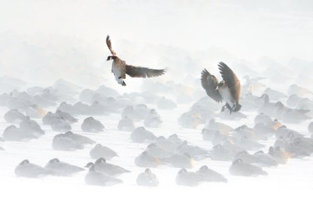 IMG_8575-Edit-Edit_LuminarNeo-edit-2.jpg
