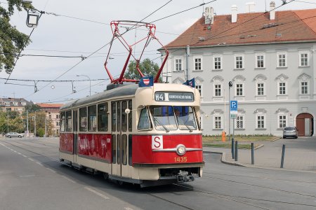 šalina1.jpg