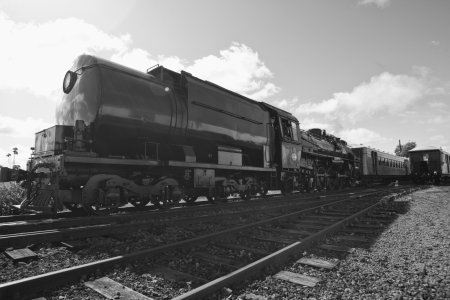 3E7C5767-1200.jpg