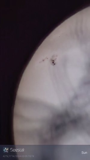 1707164383618 copy.jpg