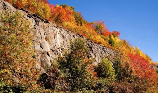 0992 Cherohala Skyway, TN.jpg