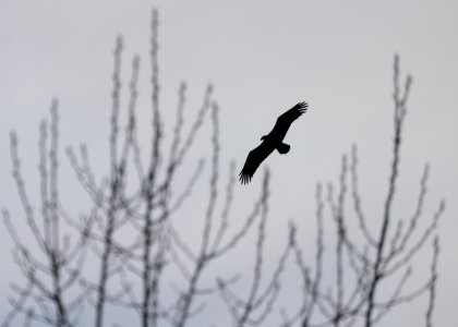 IMG_2116.jpg
