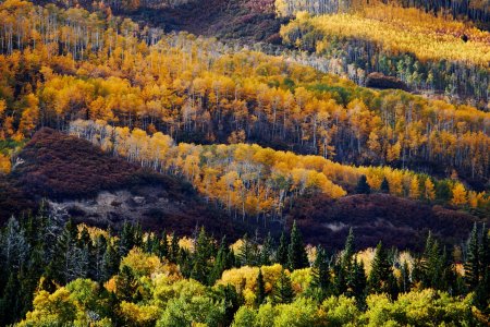 potn  Owl Creek Pass_280.JPG