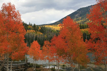 IMG_5007.JPG