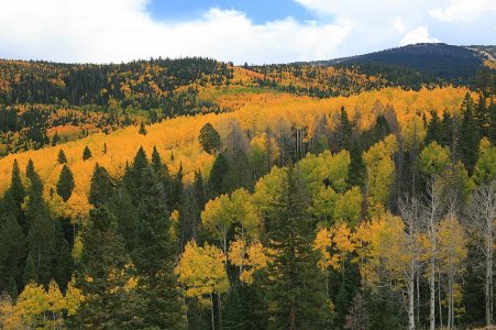 IMG_5000.JPG