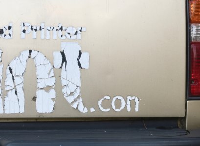 elephnttailgt2.15.24 (1).jpg