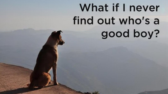 Good dog.png