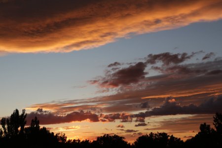 IMG_0080.JPG