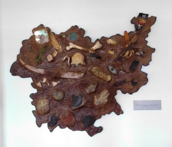 DSCI0081.JPG