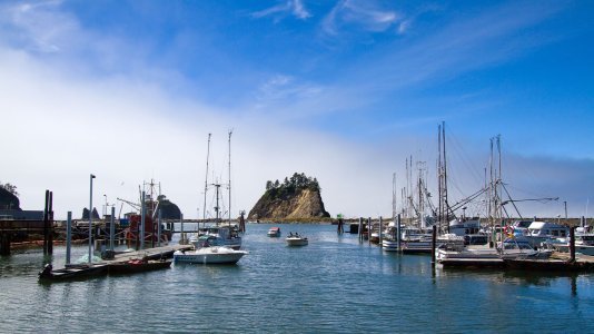 1462 La Push, WA.jpg
