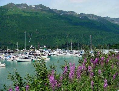 0946 Valdez, Ak.jpg