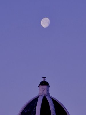 IMG_4036.jpeg