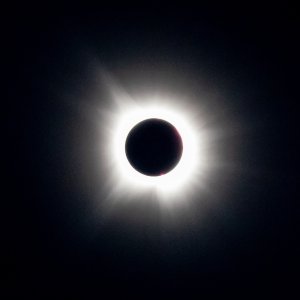 6G6A7399.jpg