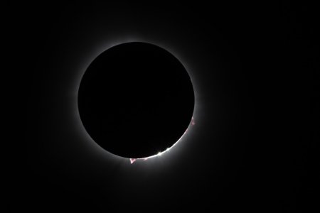 20240408-IMG_1200-Enhanced-NR.jpg