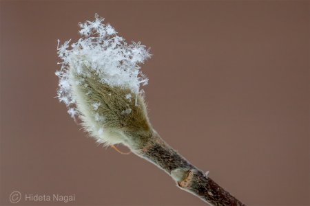40D1_7157-2024.jpg
