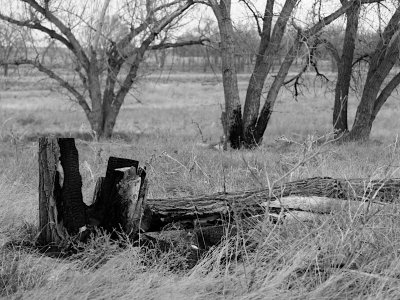 burnout.jpg burnout.jpg