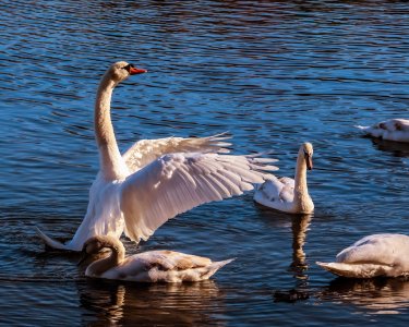 R62_5526-Edit-1-2.jpg