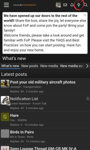 Screenshot_20231130_220108_Opera.jpg
