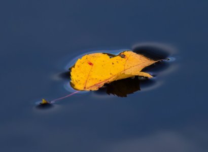 5R0A3208-Edit-1.jpg