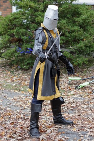 Knight 1a.JPG
