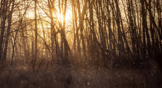 hJBO9iwwTiSXQU19Xjim8g.jpeg hJBO9iwwTiSXQU19Xjim8g.jpeg