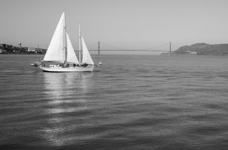 Sailing.jpg