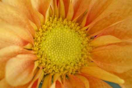 1L5A1244-COPY-1-PS-WEB$.jpg