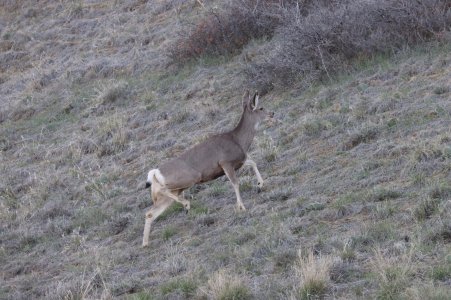 IMG_1721a.jpg IMG_1721a.jpg